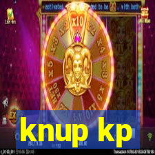knup kp-t89 driver